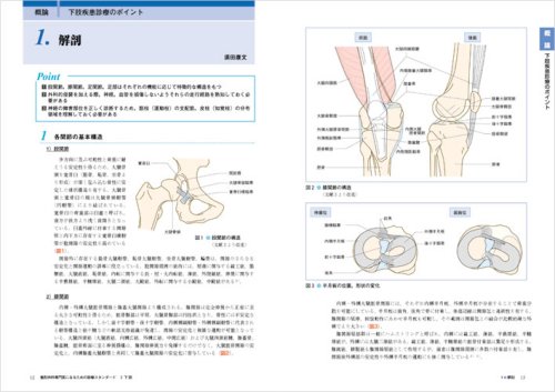 メジカルビュー社｜整形外科｜スタンダード骨折手術治療 下肢 (整形